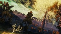 《艾尔登法环》游戏摄影：交界地美若仙境