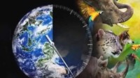 2.52亿年前陆地生物大灭绝元凶：紫外线辐射增加