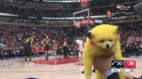 NBA赛场染色“皮卡狗”走红 狗主人被爱狗人士起诉