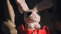奢侈品牌Acne新春广告片被喷 网友：这是阴间兔！