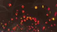 司机吐槽红灯藏在成片红灯笼里：差点6分没了