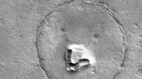 美国在火星表面拍到一张熊脸：也有网友说是狗头