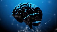 研究称调整脑电波能加速成人学习 至少能快3倍