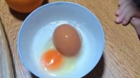 女子家中大巨蛋磕开竟是蛋中蛋 最终收获两枚蛋黄