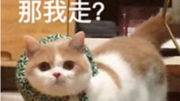 网友奔现名场面“那我走”被注册商标 全部被驳回
