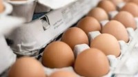 美国鸡蛋最高涨至10元一枚 当地人吐槽价格太荒谬！