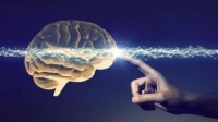 科学家首次在大脑中培育出电极 芯片入脑有希望了？