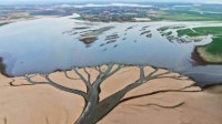 第一大淡水湖鄱阳湖又枯了：水位跌破8米线