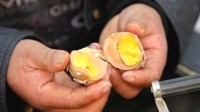 女子幼儿园收童子尿煮蛋吃引争议 回应：当地非遗