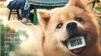 中国版《忠犬八公》定档预告：3月31日全国上映！