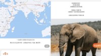 0.5元网购一只野生大象200天走到中国 还真有人买？