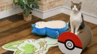 宝可梦中心推出新产品：仅售390块钱的猫抓板！