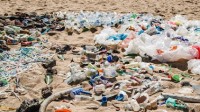 最新研究发现：海洋中有170万亿个塑料微粒