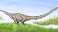 长达15米！科学家在中国发现脖子最长恐龙