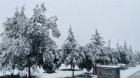 河南突降三月飞雪 原来与人工增雨有关