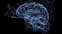 科学家用鼠脑细胞建造活体计算机 超级大脑未来可期