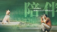 中国翻拍《忠犬八公》终极预告：田园犬领衔主演！