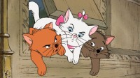 《猫儿历险记》拍真人电影 会重复猫和老鼠惨剧么？