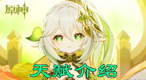 《原神》纳西妲全方位上手指南