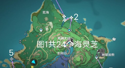 《原神》海灵芝采集路线分享