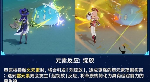 《原神》花海甘露之光用法思路与角色推荐