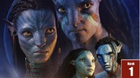 The sequel wins all! "Avatar 2" is the most profitable Hollywood blockbuster in 2022