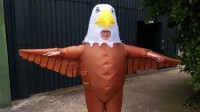英国动物园公开招聘“大雕实习生”：装雕吓跑海鸥