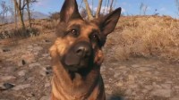 Players call for "dog meat" to appear in the drama version of "Radiation": a good helper in the wasteland