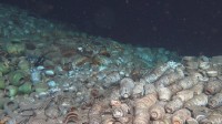 我国深海考古取得重大进展：南海两处古代沉船新发现