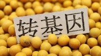 农民日报谈转基因食品能不能吃：没发生过安全性问题