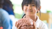 日本专家研究称 中学生用手机或导致脑力停滞发展