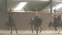 《封神》开场戏用了200多匹马！组织专业马术团队
