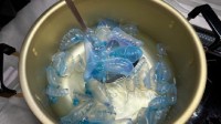 剧毒的僧帽水母 被日本美食博主下锅煮来吃掉了？