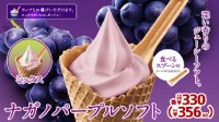“雪糕味木勺”将成历史 日本研发可食用冰淇淋勺