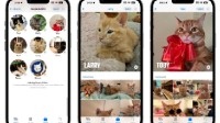 iOS17隐藏新特性：图像识别能力增强 现在能识别宠物