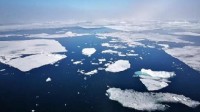 最早2030年？北冰洋或比预期提前出现“无冰之夏”