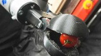 ChatGPT设计出首个机器人 专门采摘西红柿