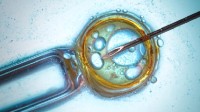 科学家宣布创造了合成人类胚胎 或引发严重道德问题