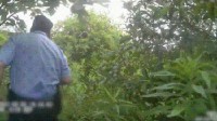 杭州一男子在绿化带内迷路3天 吃野花喝露水求生
