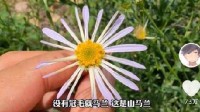 知名科普博主无穷小亮在线辟谣：有个事挺瘆得慌