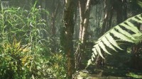 身临其境！虚幻5.2技术制作“热带雨林”Demo演示
