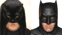 低成本小哥COS闪电侠与蝙蝠侠：猫的不满情绪