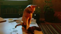 猫咪冒险游戏《流浪》将登Xbox平台 8月10日上线