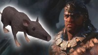 《暗黑4》玩家表示：地牢中跟随老鼠能爆出好装备