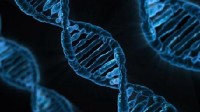 基因科学家贺建奎公布新研究：修改胚胎基因 治疗老年痴呆