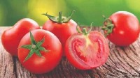印度西红柿价格暴涨 每公斤已经超过一升汽油的价格