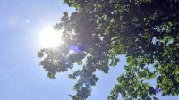 明起入伏：5省份局地达40℃以上 南方“烤验”将至