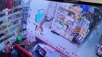 猴子4小时在同家超市连偷3次 动作熟练店员都没发现