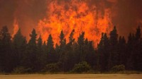 加拿大森林火灾持续 仍有超900起火情560起失控