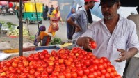 印度番茄价格暴涨给家庭加压 每公斤番茄达12元